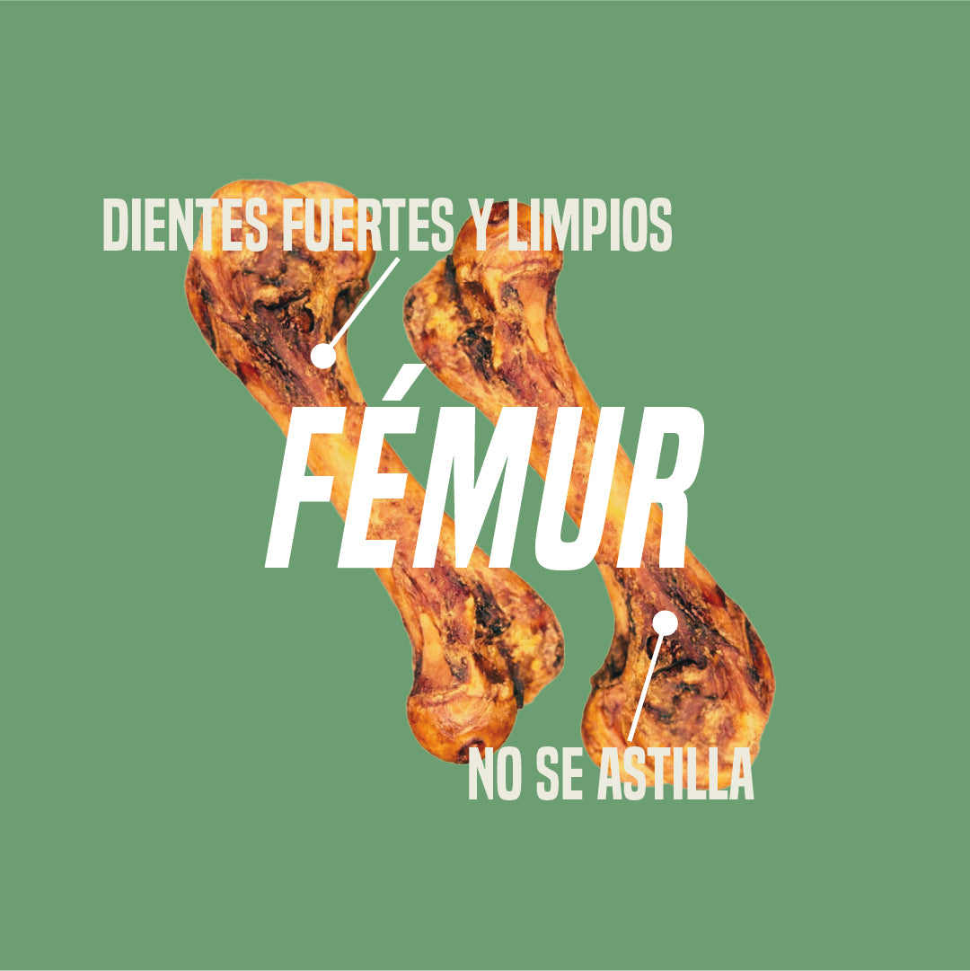 Roasted Pork Fémur (Hueso de cerdo)