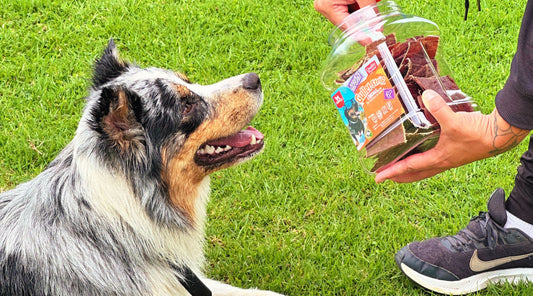 ¿Por qué los perros aman los productos de carne deshidratada?