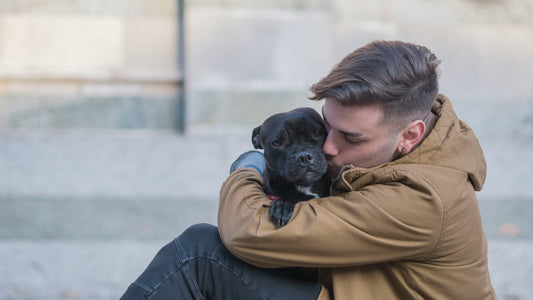 Tener un perro te cambia la vida: Lo que nadie te dice y cómo prepararte