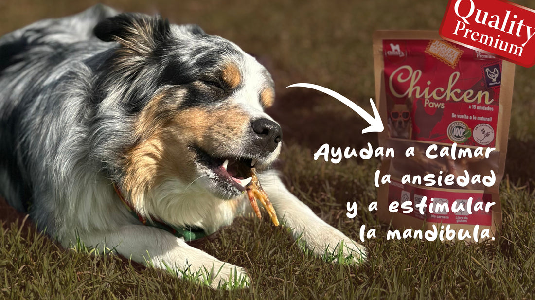 ¿Las patas de pollo son buenas para mi perro?