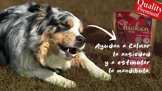 ¿Las patas de pollo son buenas para mi perro?