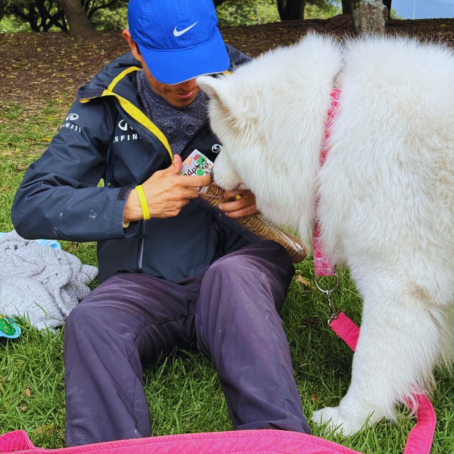 Windpi 12" (Tráquea de res) x1 unidad