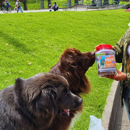 Esófago de res Combo Bombona Gullet Lonchas x50u + Recargable x50u
