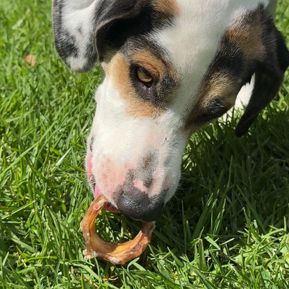 Cartílago (Rings) Naturales Bombona x30 unidades