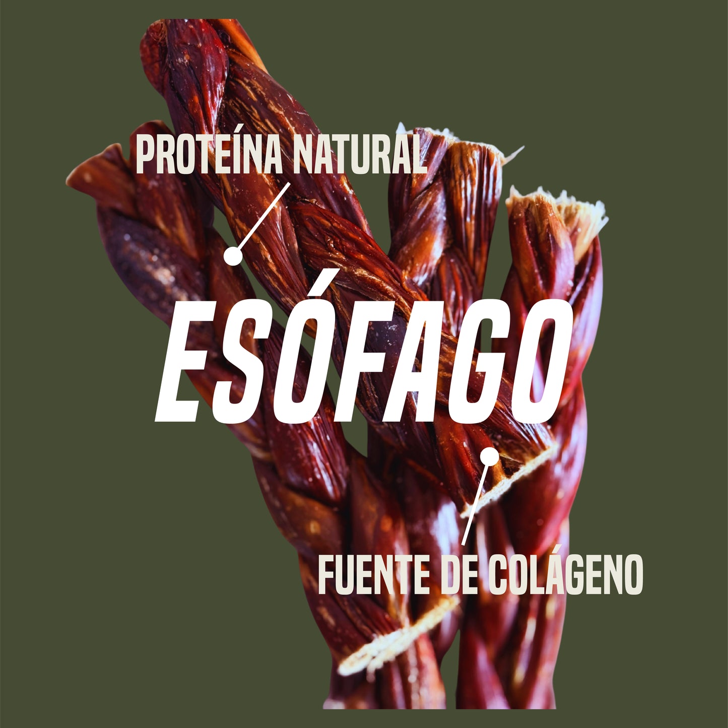 Trenza de Esofago de Res  x 5 uni  (Beef Braid)