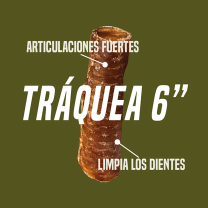 Windpi (Tráquea de res 6"- 15cm) x 1 unidad