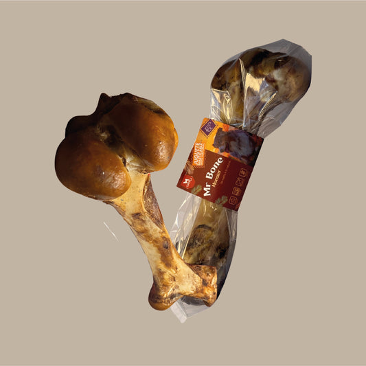 Mr Bone (Hueso de res Calambombo)