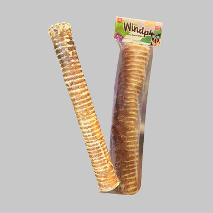 Windpi 12" (Tráquea de res) x1 unidad