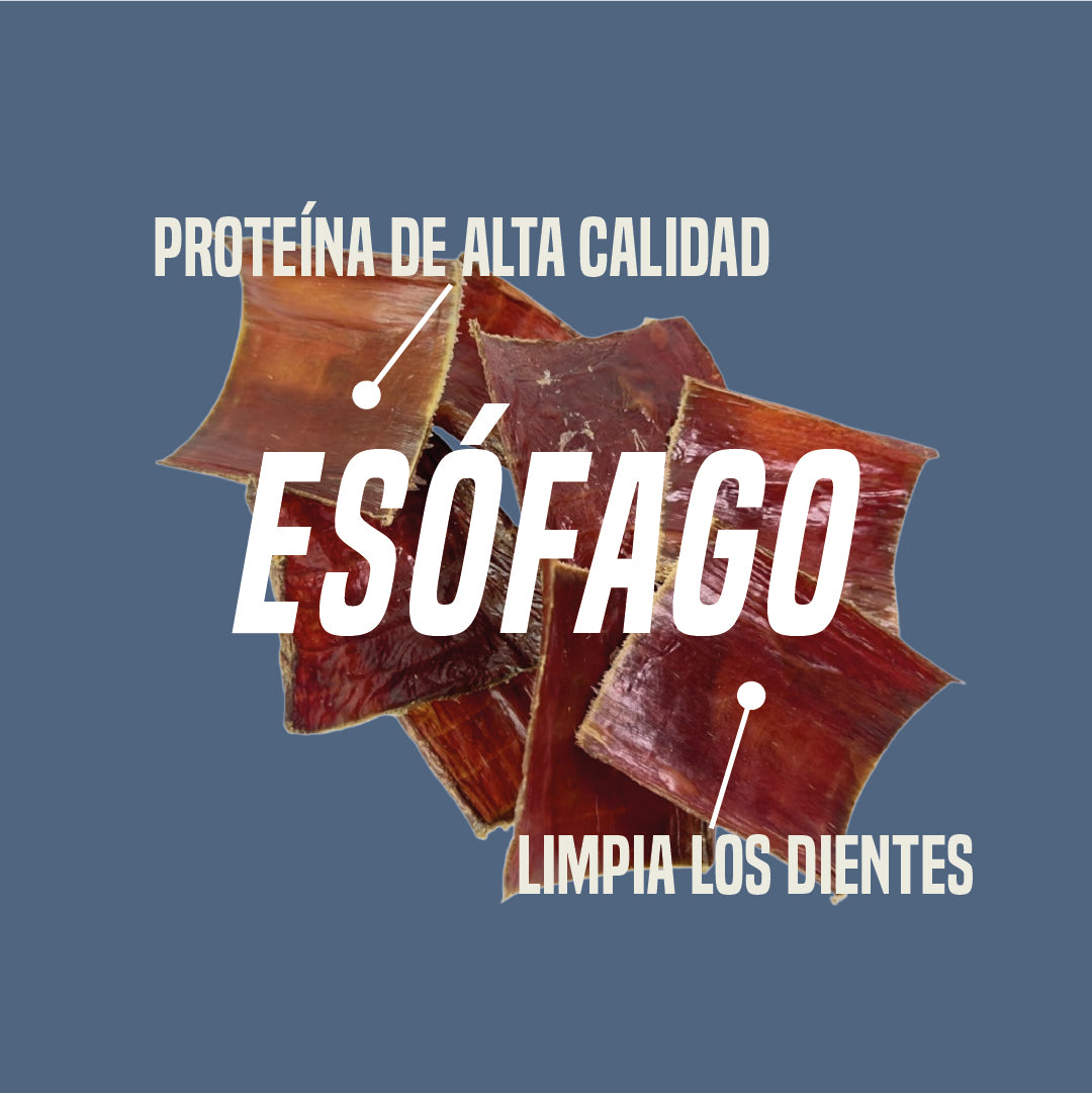 Esófago de res Recargable Lonchas x50 unidades