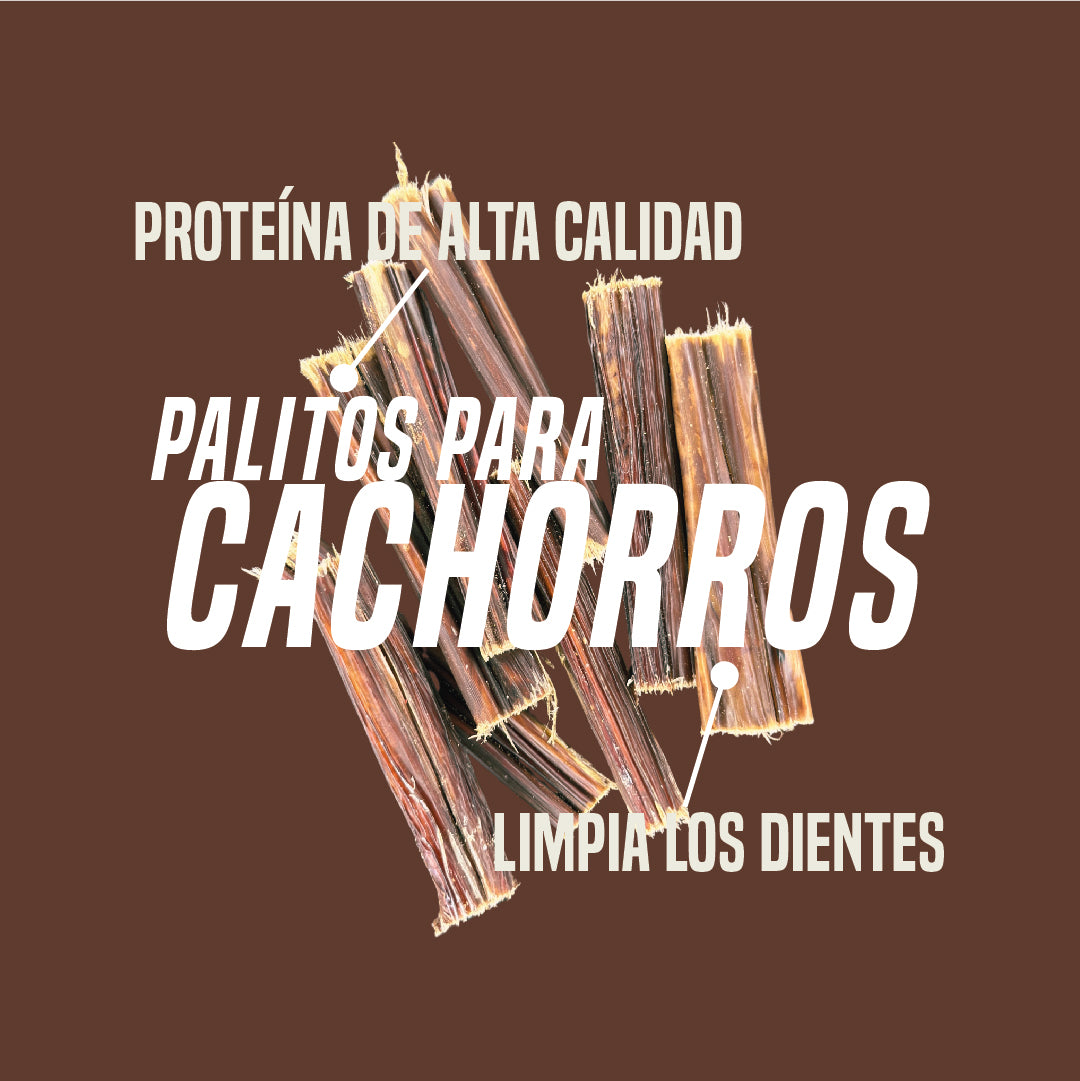 Esófago de res Recargable Palitos Mini de 3" x 40 unidades