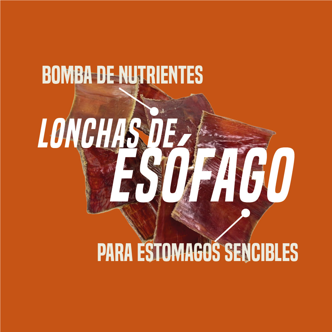 Esófago de res Combo Bombona Gullet Lonchas x50u + Recargable x50u