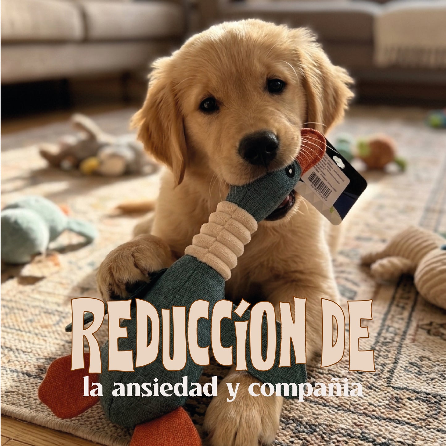 Juguetes de peluche (Estimulación Mental)