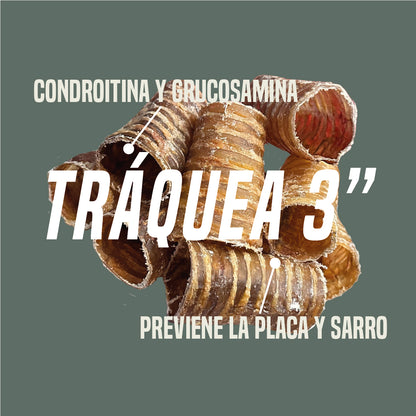 Tráquea de Res Deshidratadas de 3" x 20 unidades